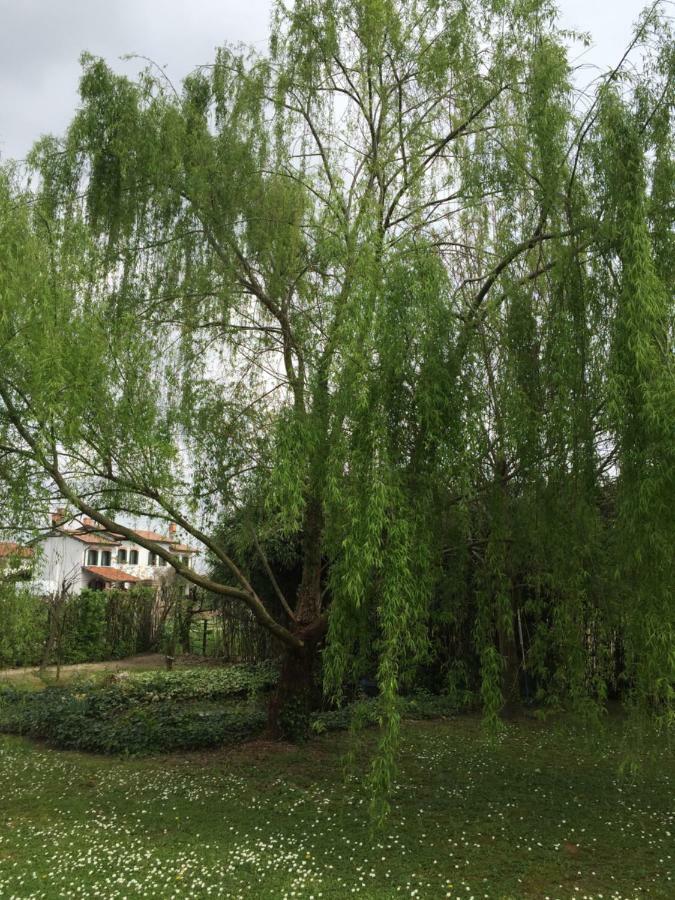 Ca L'Oasi Bed and Breakfast San Donà di Piave Εξωτερικό φωτογραφία